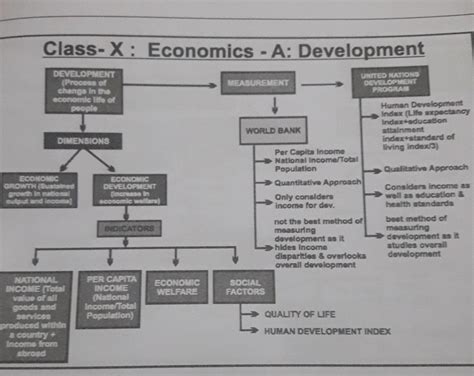 class 10 understanding economic development